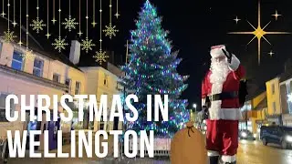 Wellington in Winter