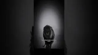 The Art of Patience | A Lesson in Strategy #shorts #inspiration