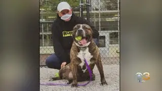 PSPCA's Longest Resident Adopted