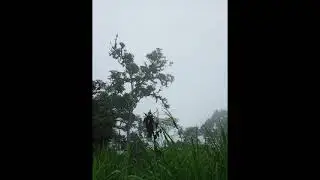 Turismo en el Cant&oacute;n Marcabel&iacute;, El Oro...