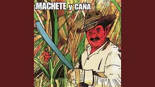 Chachareo