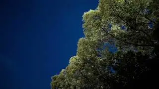 2:17 AM, No One Awake | Quiet Night Ambient BGM for Focus & Late Thoughts