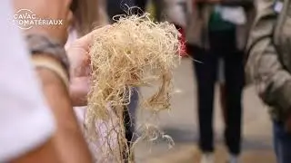 Cavac biomat&eacute;riaux - Bio-based engineering - hemp and flax transformation