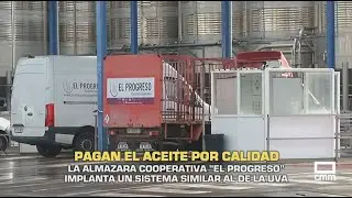 El Campo | Pagan el aceite de oliva por calidad | 16/01/26