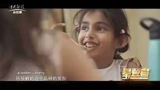 House on the Hill Montessori | The Pedagogy behind a Leading Montessori Preschool in SIngapore
