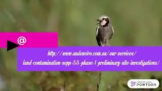 Best SEPP 55 Contamination Assessments