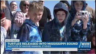 IMMS release Sea Turtles back home