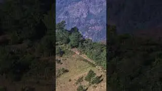 Samsung S23FE zoom test #samsung #s23fe