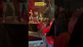 #shorts CONCERT🎶🎵🎸🎺🎻 #livebands #bands #music #liveperformance