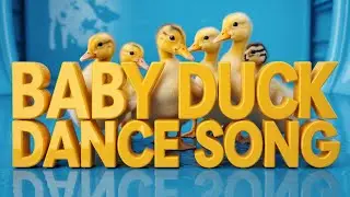 Funny Duck Song for Kids | English Nursery Rhymes with Quack Quack and Happy Animal Music