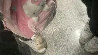 stamina.