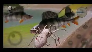 ultimate spider simulator
