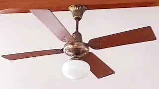 Ceiling fans sightings