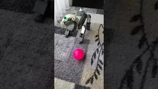 ERS-311B Defrocked and Testing