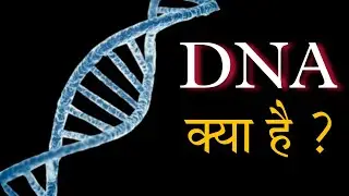 What is DNA | डीएनए क्या है #dna #biology #exam #facts  #gk