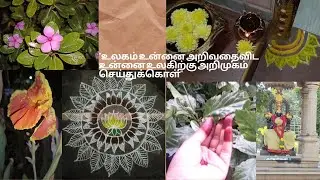 My morning routine lifestyle #arunasureshvlogs #devotional #food #work 