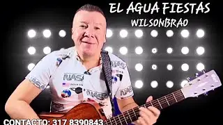EL AGUAFIESTAS - Wilson brao
