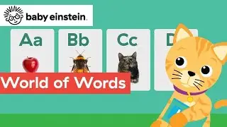 World of Words + Classic Compilations | Baby Einstein | Learning Show for Toddlers | Kids Cartoons