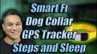 Fi Smart Collar Wifi GPS Sleep and Step Tracker Honest Review