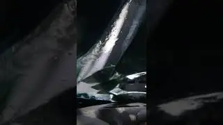 غسلت السيارة اليوم