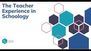 The Teacher Experience in Schoology