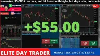 ELITE DAY TRADER
