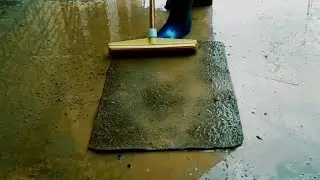 Removing Thick Mud Stains From Carpet | The Most Satisfying First Scrape | Carpet Cleaning ASMR