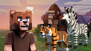 Let's Build a Zoo!!