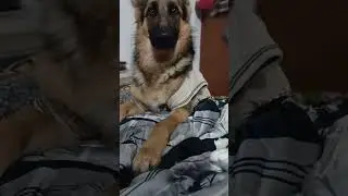 Anni Short video no. 114