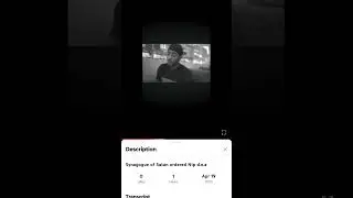 Targeted individual since youth Nip and his bro, they were a threat to u.s x Corp aka the state