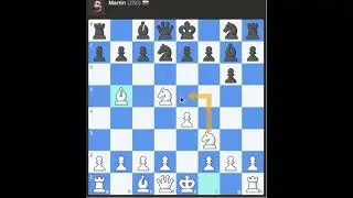 Playing against Martin bot!