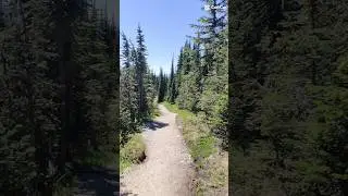 An escape from the concrete jungle to the nature #nature #travel #canada #banff