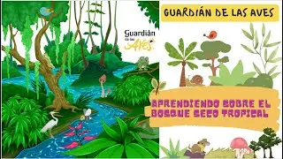 Eva Castrillon nos habla sobre el Bosque Seco Tropical