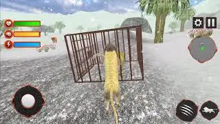 Ultimate Lion Simulator Family Games|| Android Gameplay