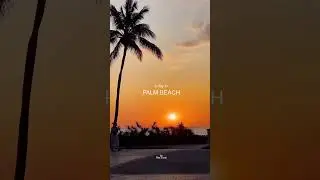 A Day in Palm Beach, FL 🌴