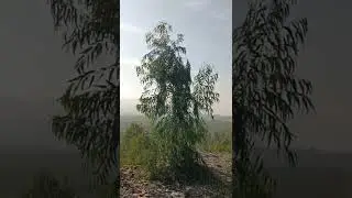 Hill Park at Paradise City Nowshera.