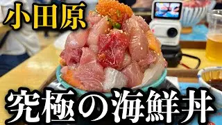 【究極】小田原で(自分)史上最高の海鮮丼に出会いました【とと丸食堂】