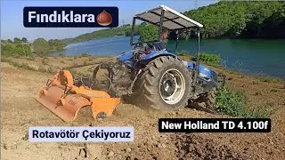 🚜🌰 Rotövator Çekiyoruz Fındıklara? 👍 New Holland TD 4.100f