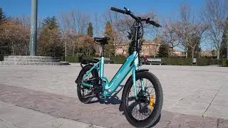 Flebi Swan 2022