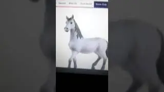 the worst schleich horses ( in my opinion)