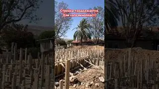 #israel#life#жизнь#стройка#дурдом