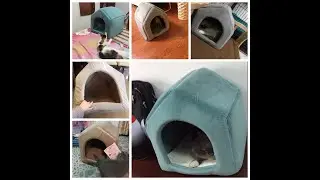 Luxury Dog&rsquo;s House for Sale