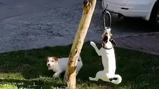 силовые упражнения на кольце
