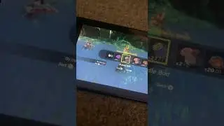 #totk  Silver Bokoblin vs Soldier construct IV
