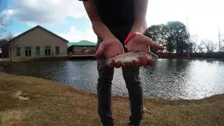 Athens Fish Hatchery