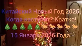 Китайский Новый Год 2026. Когда наступит? Кратко! 🎄🎄🎄🎄🎄🐎🐎🐎🐎🐎 15 Января 2026 Года.