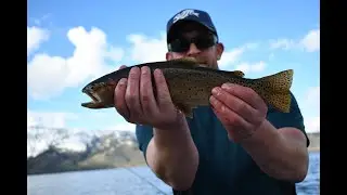 Catching BIG fish in a BIG lake!(HENRYS LAKE)