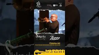 Lolita -Tinissima 4tet | Shkodra Jazz Festival 2024