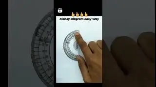 kidney diagram/kidney diagram in very easy way / easy tricks of kidney diagram #biology #bscnursing