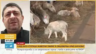 БАБХ: Животните от болното стадо в Карнобатско са поставени под възбрана
